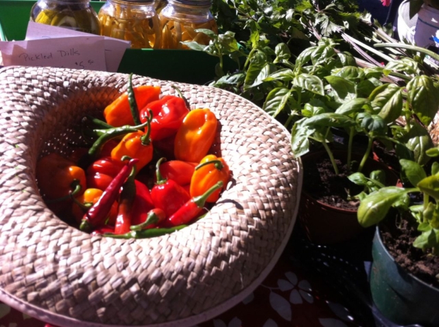 Hat and produce