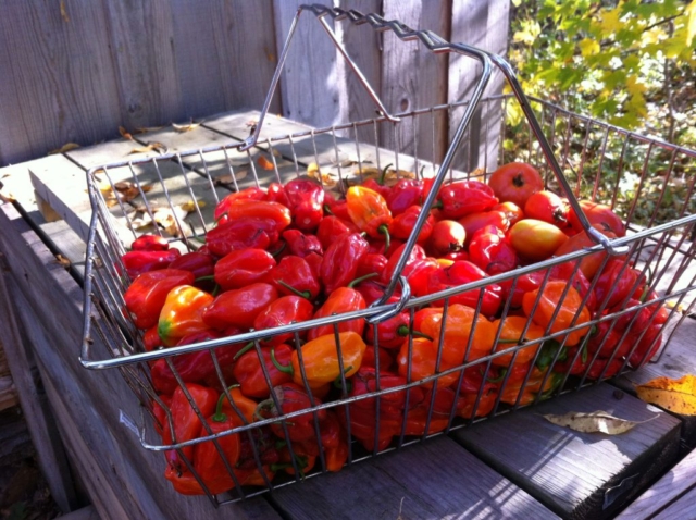 Peppers